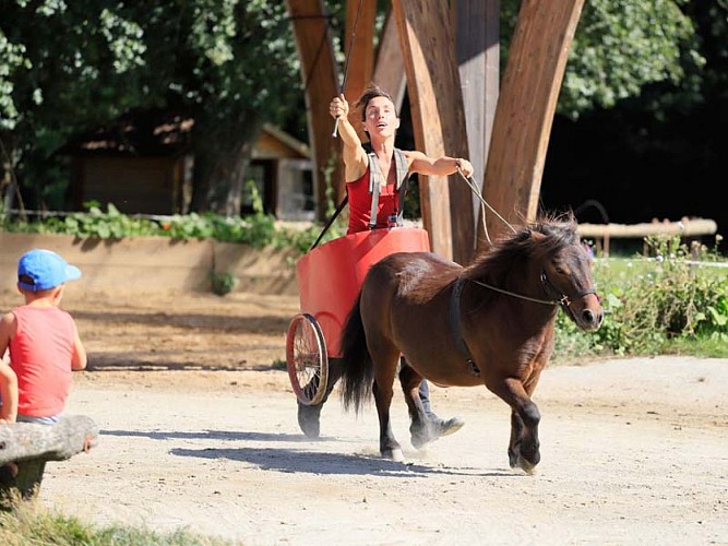Ferme du cheval de trait - Juvigny sous Andaines