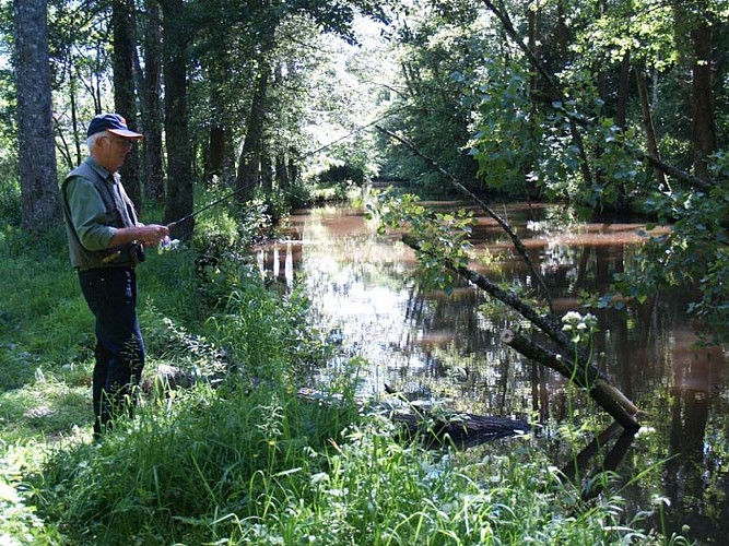 Tertre Sainte Anne - Domfront
