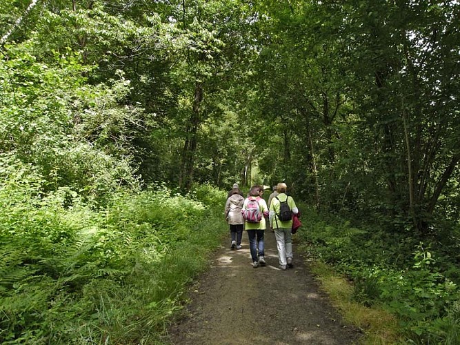 Tertre Sainte Anne - Domfront