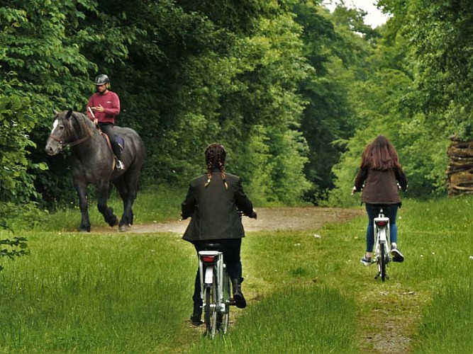 Location de vélos au Haras du Pin