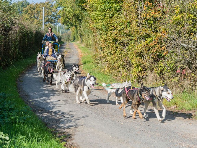 Attelage canin - Moutiers au Perche