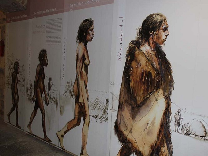 Musée de la Préhistoire dans l'Orne