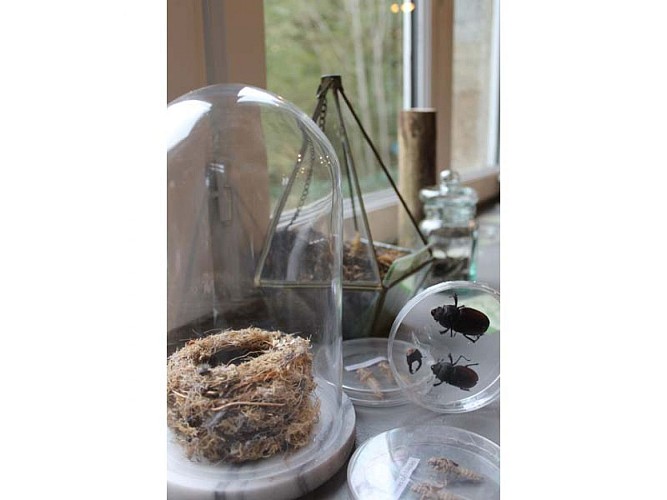 Maison du Paysage - CPIE Collines normandes