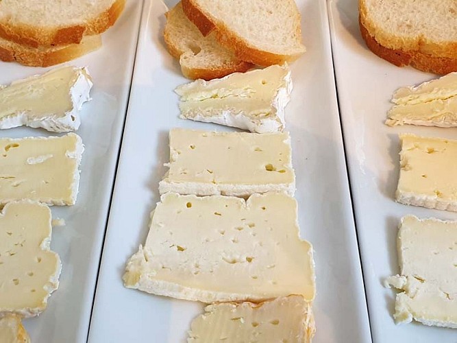 musee-camembert-803-2