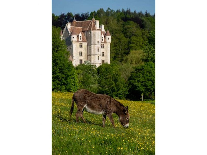 Domaine et manoir de Courboyer - Nocé
