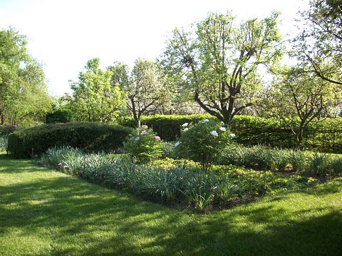 Manoir du Plessis - Dancé