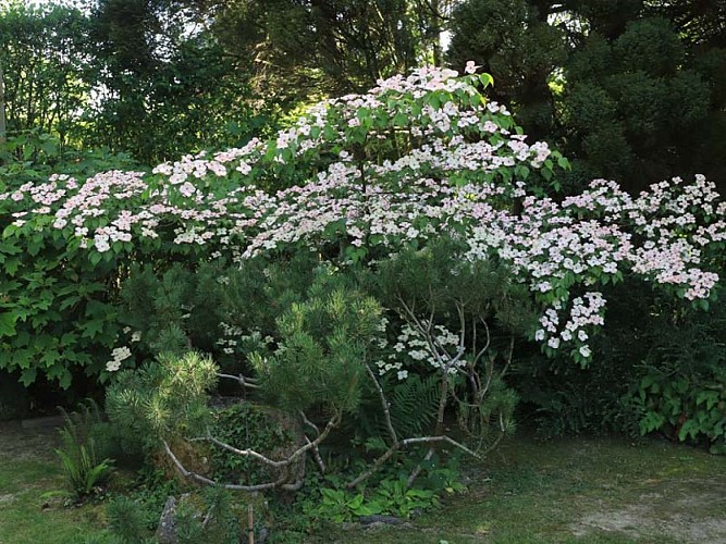 Jardins de la Mansonière - Saint Céneri le Gérei