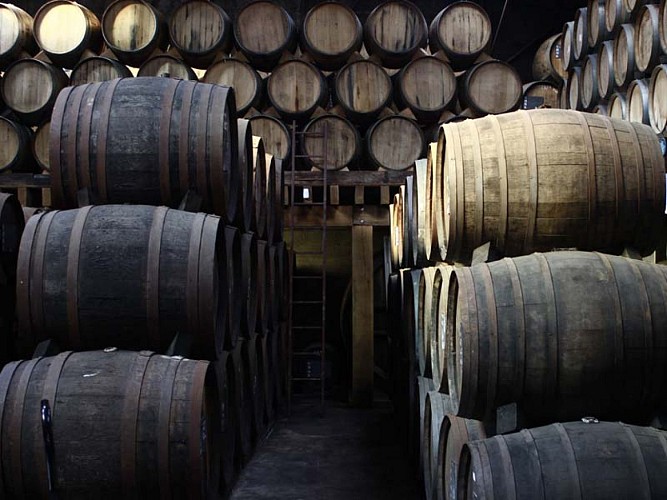 Calvados Comte Louis de Lauriston - Domfront