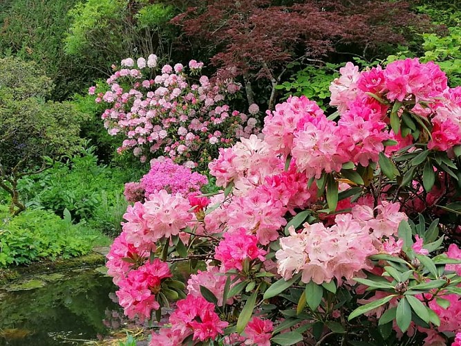 Jardins de la Petite Rochelle 2022 cphoto Laurence de Bonneval (5)