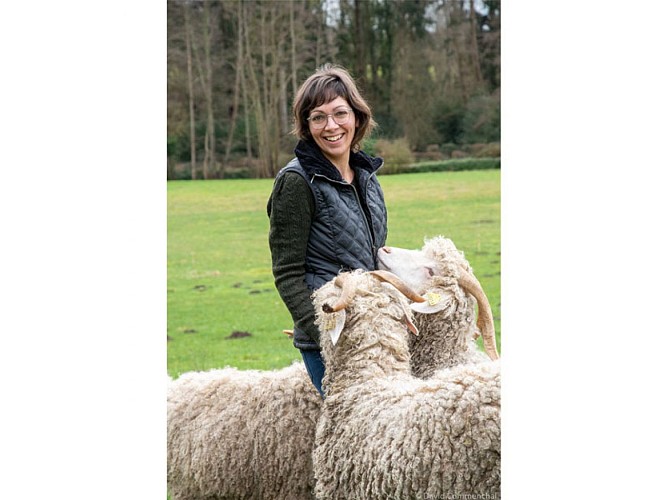 ©-D.-Commenchal-(1)-