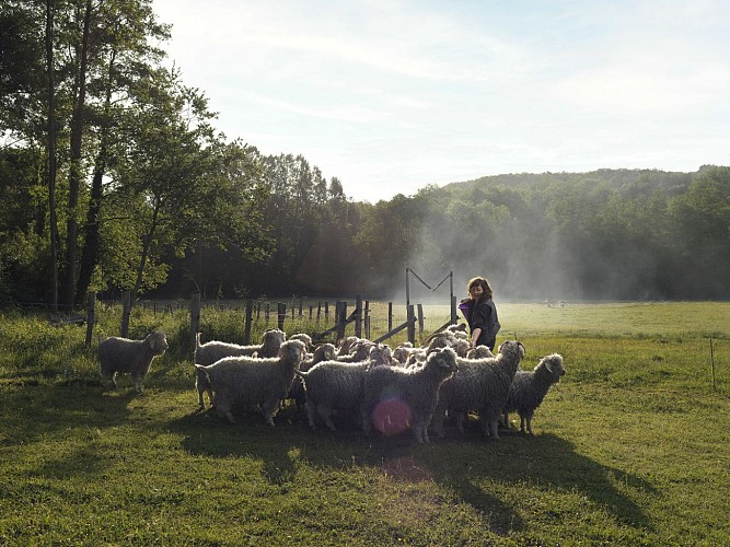 Ferme de l'Aritoire - La Madeleine Bouvet