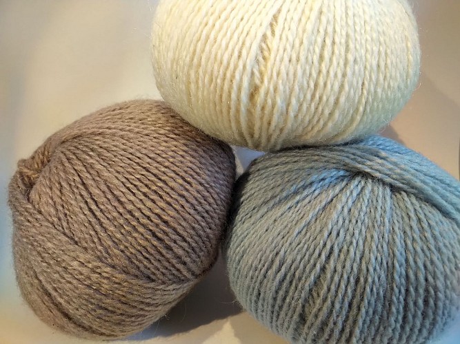 Ferme de l'Aritoire - La Madeleine Bouvet