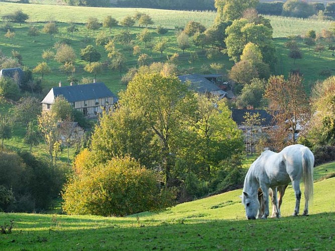 La Galotière - Crouttes