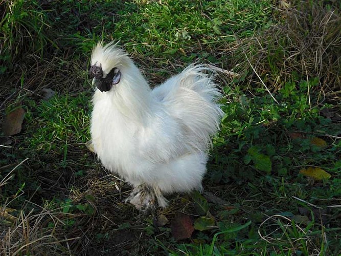 La Ferme Ornée de Carrouges