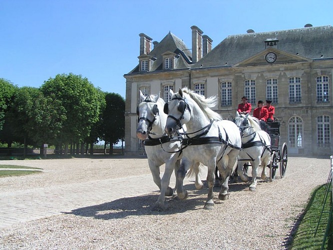 Le Haras du Pin