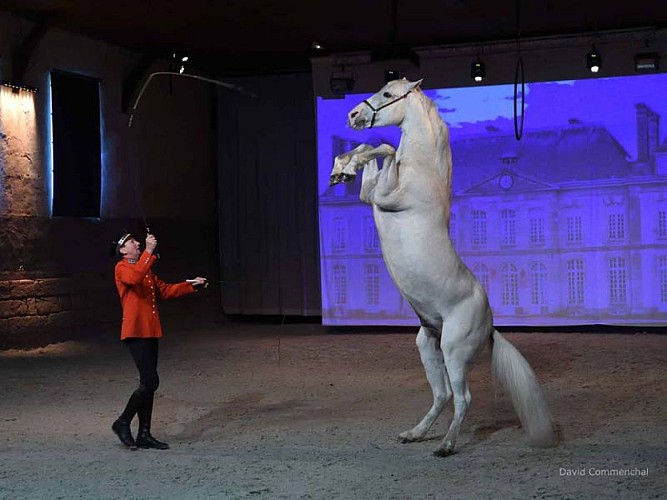 Haras national du Pin - Le Pin au Haras