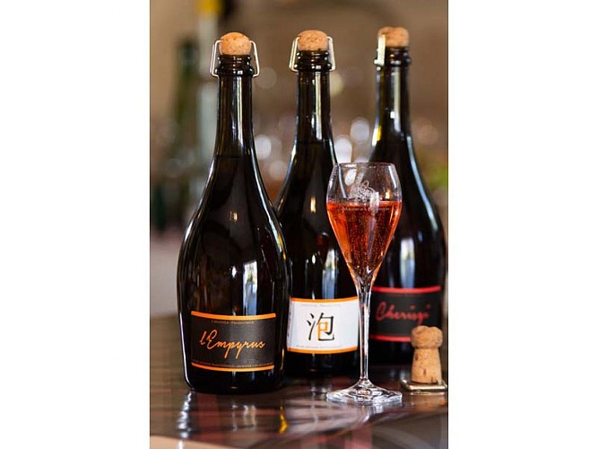 Vergers de la Morinière - La Fresnaie Fayel