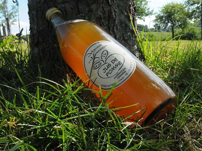 Vergers de la Morinière - La Fresnaie Fayel