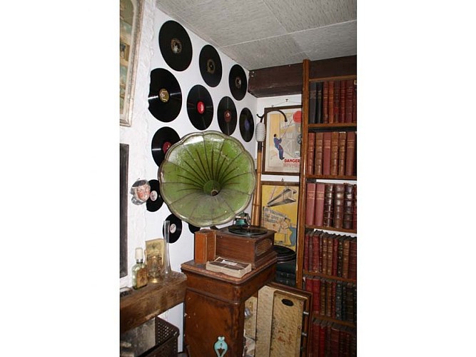 L'Inzolite, le voyage du curieux