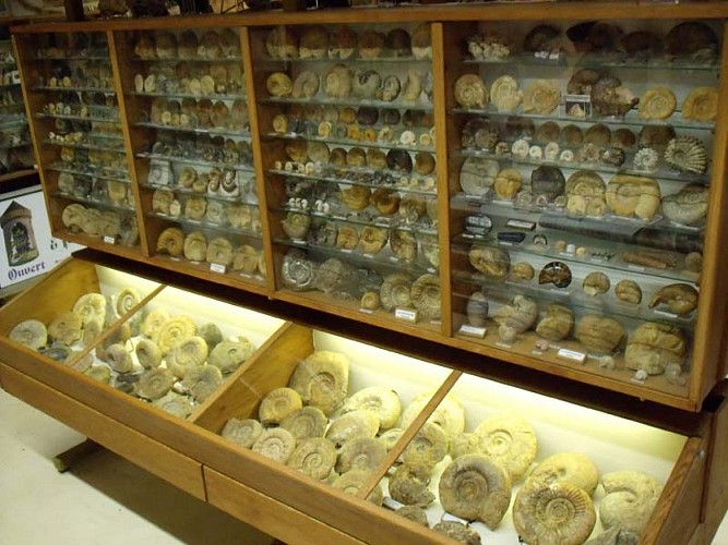 Musée minéraux et fossiles - Gacé