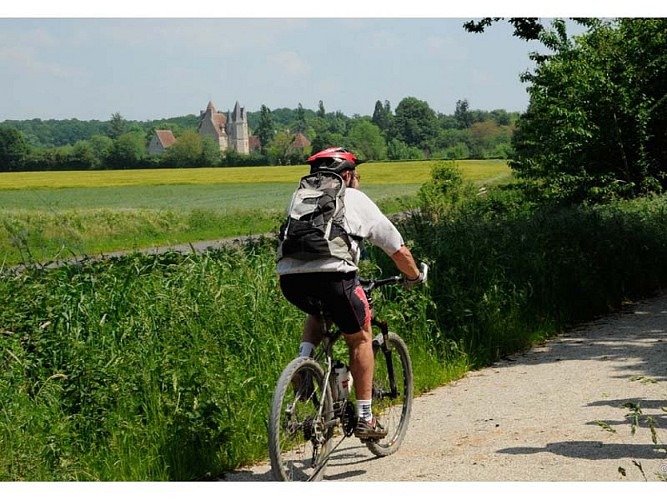 Manoir de la Vove - Corbon