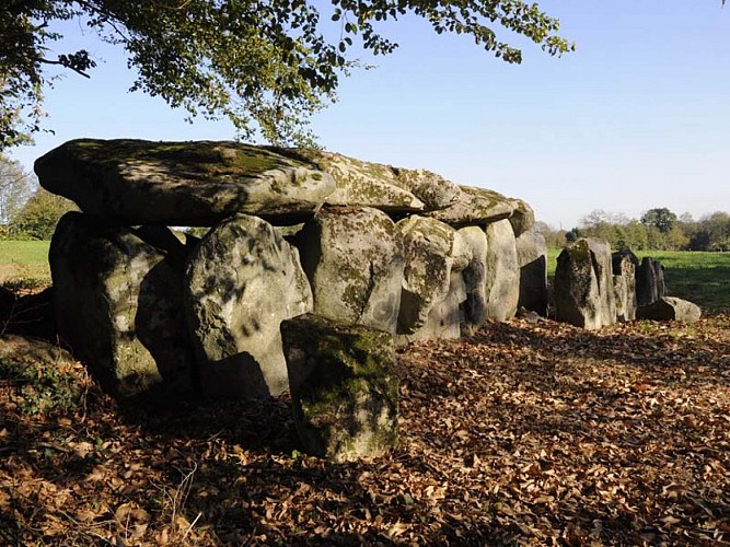 Mégalithes du Bocage sud ornais