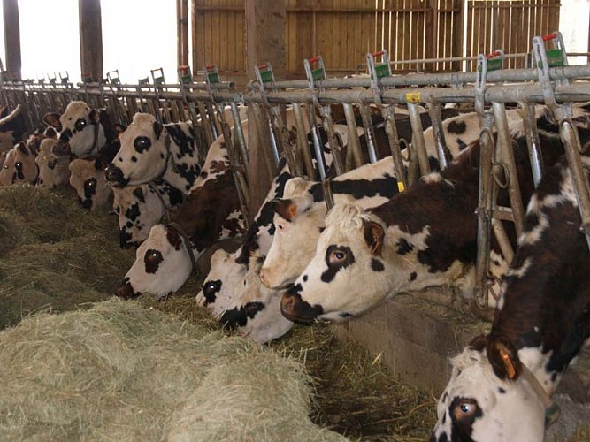 Ferme de la Novère - Champsecret