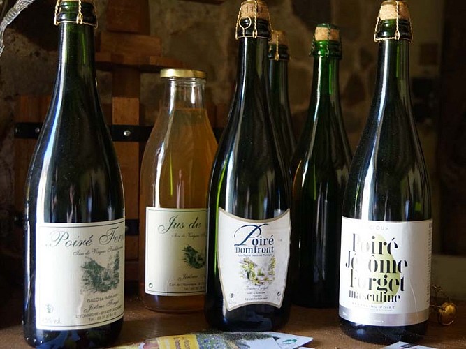 Ferme de L'Yonnière - Torchamp