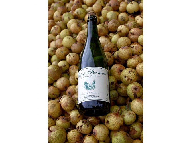 Ferme de L'Yonnière - Torchamp