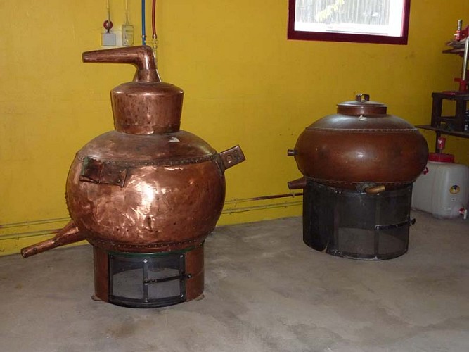 Les Vergers du Chouquet