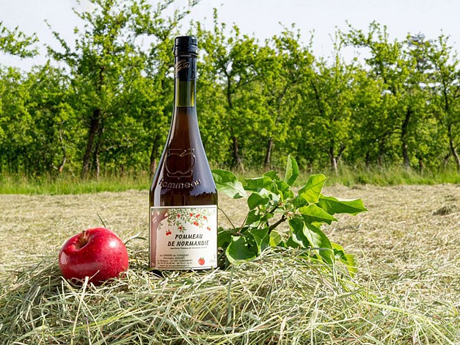 les-vergers-du-fouquet