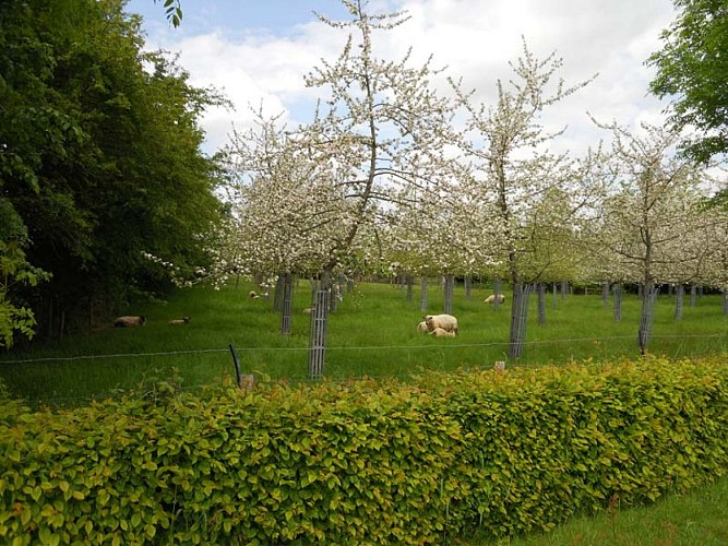 Bagnoles de Pom - Bagnoles de l'Orne