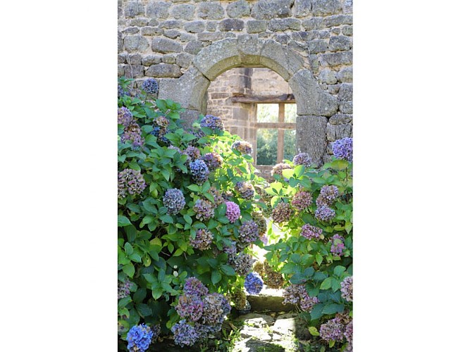Jardin du manoir de la Boisnerie - Ste Honorine la Chardonne