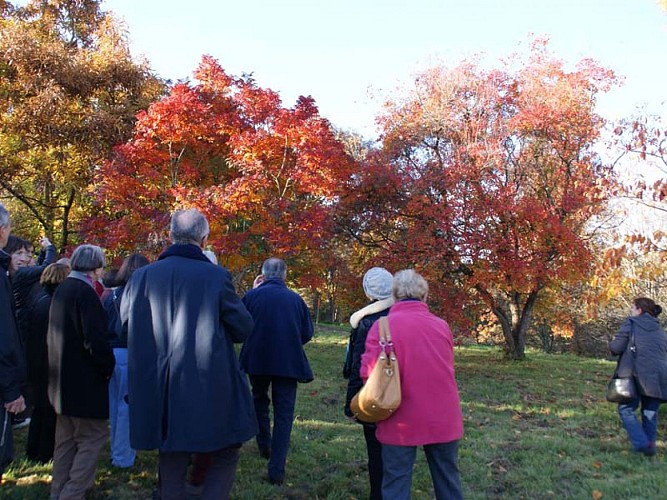 Arboretum de Boiscorde