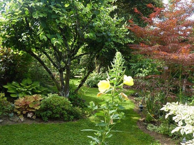 Jardin Bleuenn - La Ferté Macé