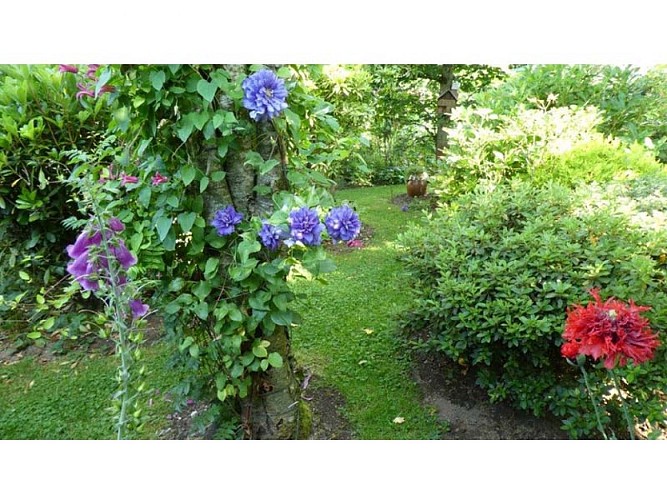 Jardin Bleuenn - La Ferté Macé