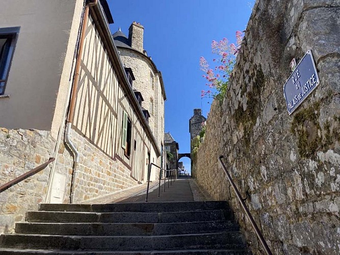 Domfront-en-Poiraie 2022 © PPeigney T61 (8)