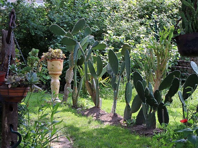 Jardin du clos de la vieille court - La Carneille