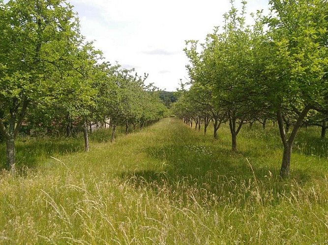 Matthieu Lacour-Veyranne - Éperrais