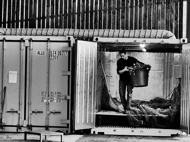 Jardins de la Licorne cphoto Ilva (3)