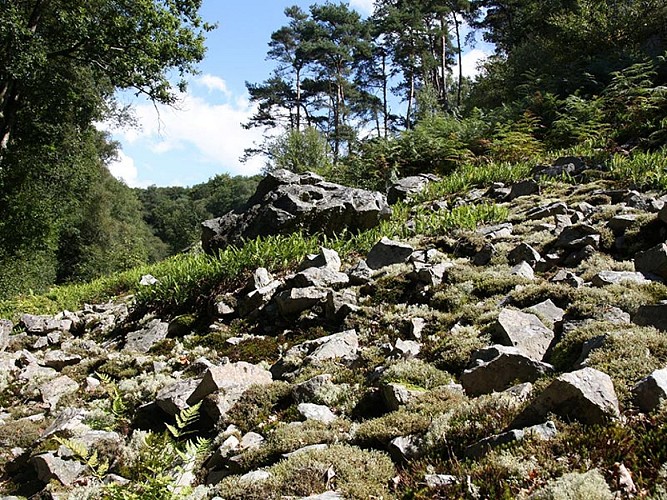 Pierrier_Gorges-de-Villiers-cph-CD61-3