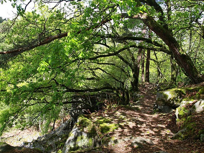 Les Gorges de Villiers