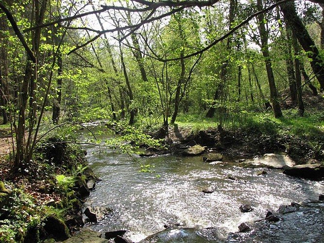 La-Gourbe-cph-PNRNM_M.Debroize