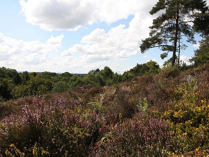 Landes_Gorges-de-Villiers-cph-CD61-2