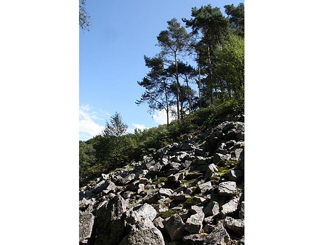 Pierrier_Gorges-de-Villiers-cph-CD61-4