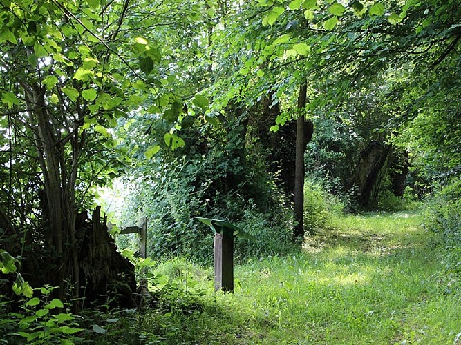 Le Coteau de la Butte