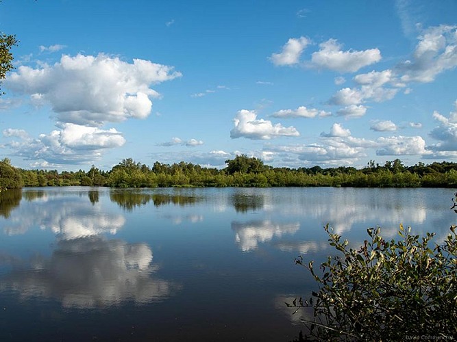 Le Marais du Grand-Hazé