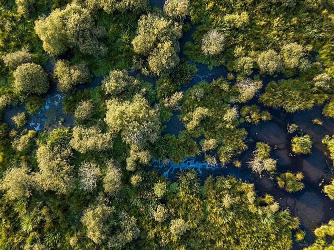 Le Marais du Grand-Hazé