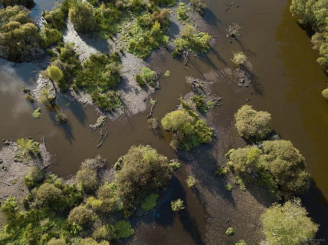 Marais du Grand Hazé