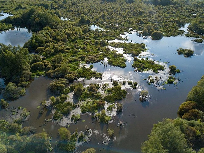 Marais du Grand Hazé
